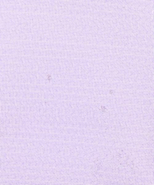 PRADA（プラダ）トートバッグ 紫 サイズ:- レディース/2200678577035