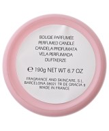 PRADA（プラダ）小物類（その他） ピンク サイズ:- レディース/2200670979059