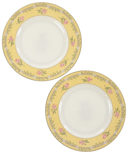 TIFFANY & CO.（ティファニー）小物類（その他） 黄 サイズ:- レディース/2200633052119