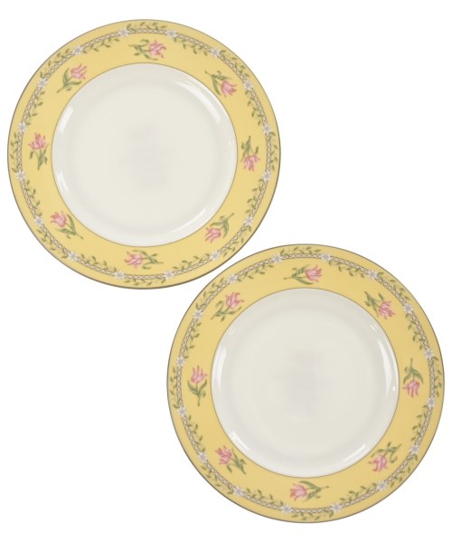 TIFFANY & CO.（ティファニー）小物類（その他） 黄 サイズ:- レディース/2200633052126