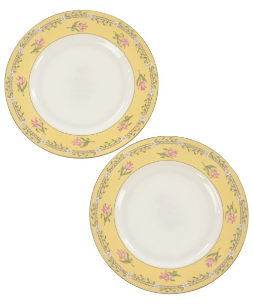 TIFFANY & CO.（ティファニー）小物類（その他） 黄 サイズ:- レディース/2200633052133