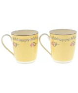 TIFFANY & CO.（ティファニー）小物類（その他） 黄 サイズ:- レディース/2200633052157