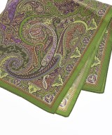 ETRO（エトロ）小物類（その他） 緑 サイズ:- レディース/2200686924180