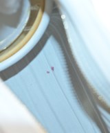 LOEWE（ロエベ）ハンドバッグ 白 サイズ:- レディース/2200643878044