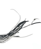 LOEWE（ロエベ）キーケース・キーホルダー 黒 サイズ:- レディース/2200613279093