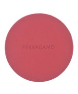 Salvatore Ferragamo（サルバトーレフェラガモ）小物類（その他） 赤 サイズ:- レディース/2200609905227