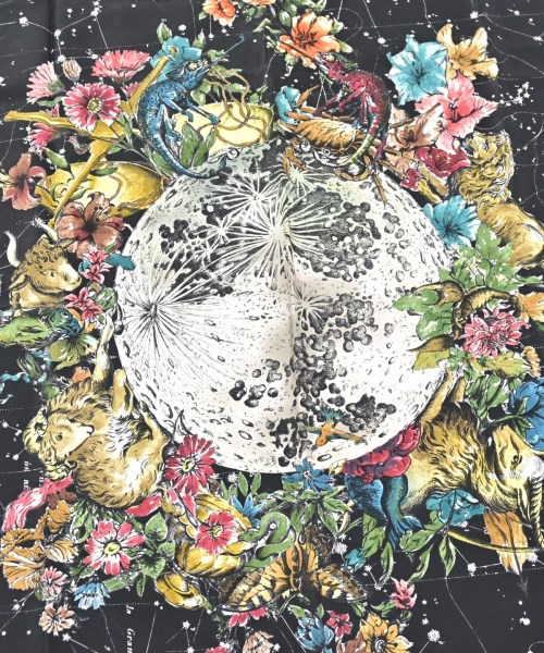 Christian Dior（クリスチャンディオール）バンダナ・スカーフ 黒 サイズ:- レディース/2200608326030