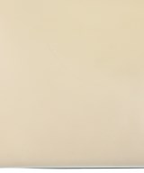 FENDI（フェンディ）ハンドバッグ 白 サイズ:- レディース/2200621411010