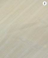 SONIA RYKIEL（ソニアリキエル）カジュアルシャツ 白 サイズ:36(XS位) レディース/2200646664033