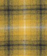 CELINE（セリーヌ）その他 黄 サイズ:52(XXL位) メンズ/2200644782012