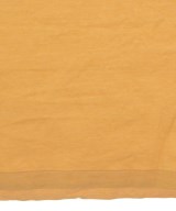 CELINE（セリーヌ）ポロシャツ オレンジ サイズ:-(M位) メンズ/2200642390103