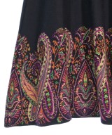 ETRO（エトロ）ロング・マキシ丈スカート 紺 サイズ:40(M位) レディース/2200710220134
