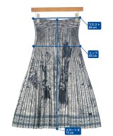 ETRO（エトロ）ロング・マキシ丈スカート 白 サイズ:38(S位) レディース/2200663363056