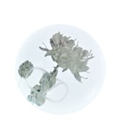 VALENTINO（ヴァレンティノ）小物類（その他） その他（柄物・カラフル） サイズ:- レディース/2200720996203