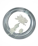 VALENTINO（ヴァレンティノ）小物類（その他） その他（柄物・カラフル） サイズ:- レディース/2200720996203