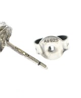GUCCI（グッチ）ピアス・イヤリング その他（柄物・カラフル） サイズ:- レディース/2200682972857