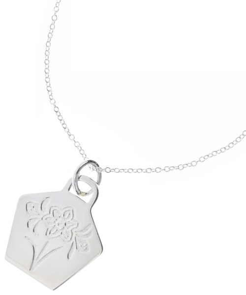 ティファニー(TIFFANY & CO.)のTIFFANY & CO. ネックレス