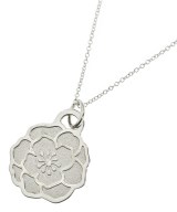 TIFFANY & CO. ネックレス