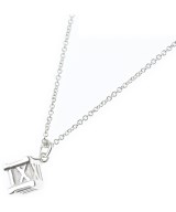TIFFANY & CO. ネックレス