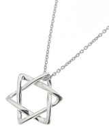 TIFFANY & CO.（ティファニー）ネックレス シルバー サイズ:- レディース/2200679369042