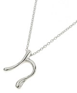 TIFFANY & CO. ネックレス