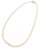 MIKIMOTO ネックレス