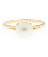 MIKIMOTO（ミキモト）リング ゴールド サイズ:11 レディース/2200595125456