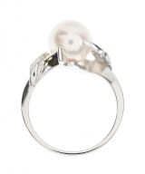 MIKIMOTO（ミキモト）リング 白 サイズ:12.5 レディース/2200702432088