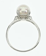 TASAKI（タサキ）リング シルバー サイズ:13 レディース/2200599156470