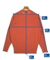 ALAN PAINE（アランペイン）ニット・セーター オレンジ サイズ:48(L位) メンズ/2200621782042