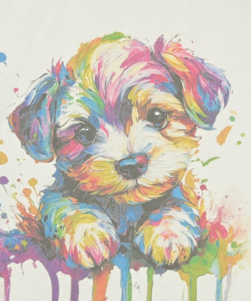 ANNA BASSANI（アンナバッサーニ）Tシャツ・カットソー 白 サイズ:42(M位) レディース/2200664512071