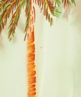 AVANTI（アヴァンティ）カジュアルシャツ 白 サイズ:XS メンズ/2200653813318