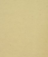 INDUSTRY OF ALL NATIONS（インダストリーオブオールネイションズ）Tシャツ・カットソー ベージュ サイズ:S レディース/2200631135456