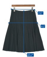 STRENESSE（ストラネス）ロング・マキシ丈スカート 黒 サイズ:-(L位) レディース/2200655599067