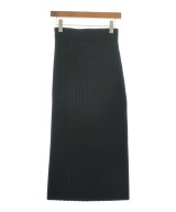 TITE IN THE STORE（ティテインザストア）ロング・マキシ丈スカート 黒 サイズ:F レディース/2200615036014