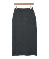 TITE IN THE STORE（ティテインザストア）ロング・マキシ丈スカート 黒 サイズ:F レディース/2200654877074