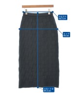 TITE IN THE STORE（ティテインザストア）ロング・マキシ丈スカート 黒 サイズ:F レディース/2200654877074