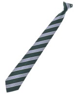 Maker's Shirt 鎌倉（メイカーズシャツカマクラ）ネクタイ 緑 サイズ:- メンズ/2200612846135