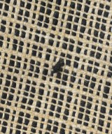 Cotelac（コテラック）ジャケット ベージュ サイズ:2(M位) レディース/2200698706040