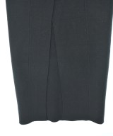 LANEUS（ラネウス）ロング・マキシ丈スカート 黒 サイズ:-(M位) レディース/2200721913100