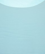 Wolford（ウォルフォード）Tシャツ・カットソー 青 サイズ:M レディース/2200631177180