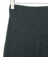 ELISABETTA FRANCHI（エリザベッタフランキ）ロング・マキシ丈スカート 黒 サイズ:38(S位) レディース/2200702277016