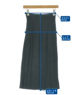 ELISABETTA FRANCHI（エリザベッタフランキ）ロング・マキシ丈スカート 黒 サイズ:38(S位) レディース/2200702277016