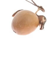 RENARD BIJOUX（レナードビジュー）ネックレス 茶 サイズ:- レディース/2200636110199