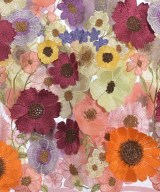 Adonisis（アドニシス）カジュアルシャツ ピンク サイズ:F レディース/2200614129106