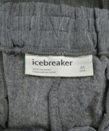 icebreaker（アイスブレーカー）その他 グレー サイズ:M メンズ/2200627385230