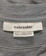 icebreaker（アイスブレーカー）Tシャツ・カットソー グレー サイズ:XS メンズ/2200618762026
