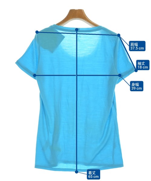 icebreaker（アイスブレーカー）Tシャツ・カットソー 青 サイズ:M レディース/2200698764040