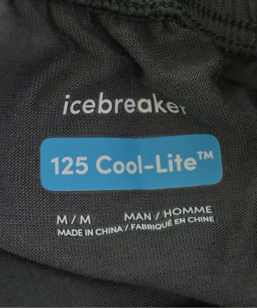 icebreaker（アイスブレーカー）ショートパンツ グレー サイズ:M メンズ/2200699812276