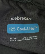 icebreaker（アイスブレーカー）ショートパンツ グレー サイズ:M メンズ/2200699812276